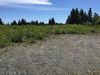 66417 Alder Ave photo